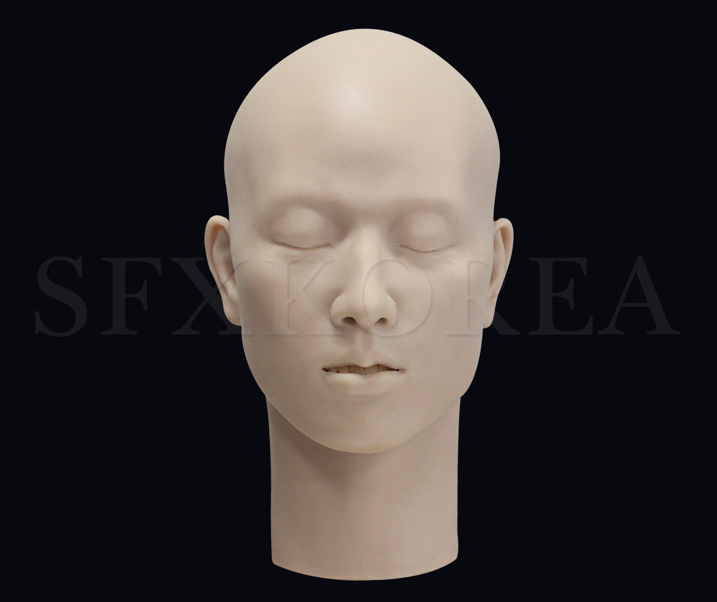 실리콘 머리모형 - 남성1(두개골이 내장된 한국 남성표준)