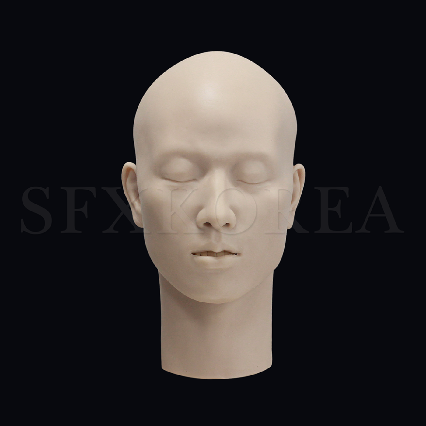 실리콘 머리모형 - 남성1(두개골이 내장된 한국 남성표준)
